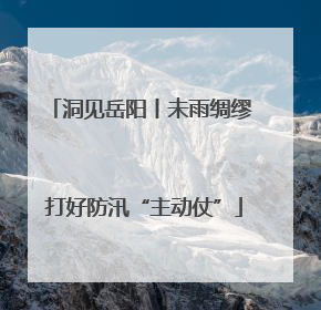 洞见岳阳丨未雨绸缪 打好防汛“主动仗”