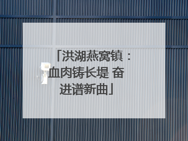洪湖燕窝镇：血肉铸长堤 奋进谱新曲