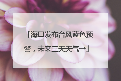 海口发布台风蓝色预警，未来三天天气→