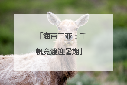 海南三亚：千帆竞渡迎暑期