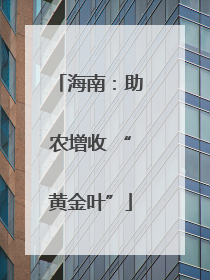 海南：助农增收 “黄金叶”