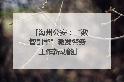 海州公安：“数智引擎”激发警务工作新动能
