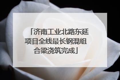 济南工业北路东延项目全线最长钢混组合梁浇筑完成