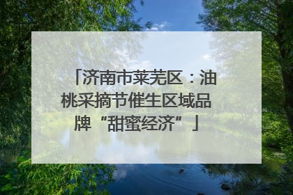 济南市莱芜区：油桃采摘节催生区域品牌“甜蜜经济”