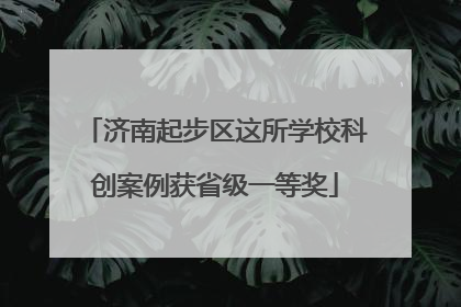 济南起步区这所学校科创案例获省级一等奖