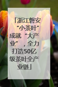 浙江磐安“小茶叶”成就“大产业”，全力打造50亿级茶叶全产业链