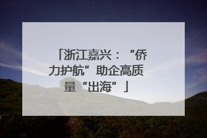 浙江嘉兴：“侨力护航”助企高质量“出海”