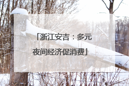 浙江安吉：多元夜间经济促消费