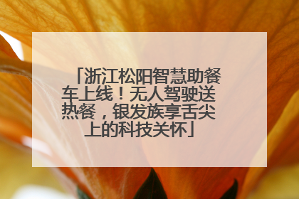 浙江松阳智慧助餐车上线！无人驾驶送热餐，银发族享舌尖上的科技关怀