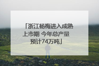 浙江杨梅进入成熟上市期 今年总产量预计74万吨