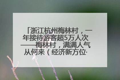 浙江杭州梅林村，一年接待游客超5万人次——梅林村，满满人气从何来（经济新方位·农村消费观察）