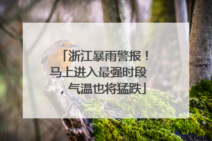浙江暴雨警报！马上进入最强时段，气温也将猛跌
