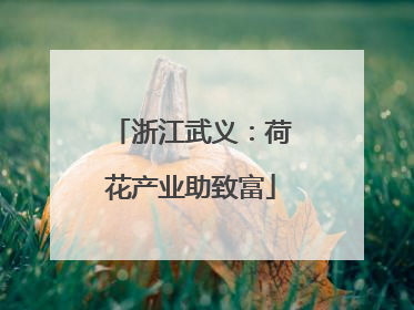 浙江武义：荷花产业助致富