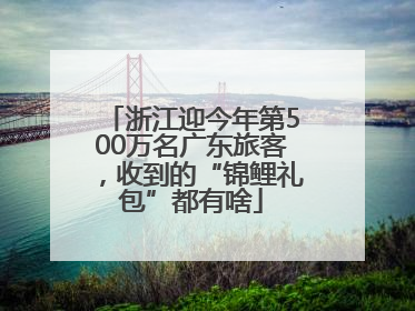 浙江迎今年第500万名广东旅客，收到的“锦鲤礼包”都有啥