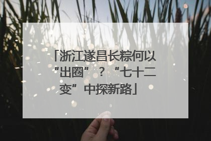 浙江遂昌长粽何以“出圈”？“七十二变”中探新路