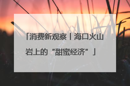 消费新观察丨海口火山岩上的“甜蜜经济”