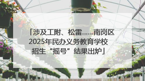 涉及工附、松雷……南岗区2025年民办义务教育学校招生“摇号”结果出炉