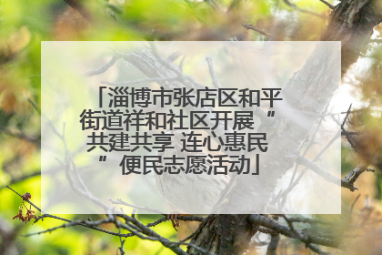 淄博市张店区和平街道祥和社区开展“共建共享 连心惠民”便民志愿活动