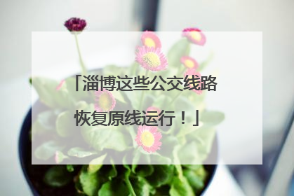 淄博这些公交线路恢复原线运行！