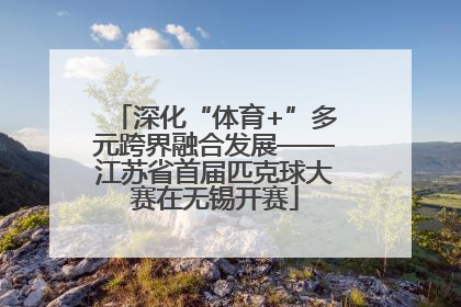 深化“体育+”多元跨界融合发展——江苏省首届匹克球大赛在无锡开赛