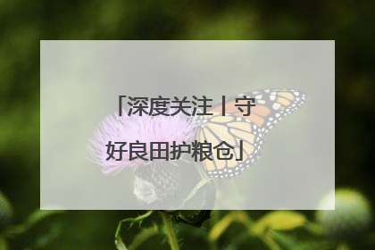 深度关注丨守好良田护粮仓