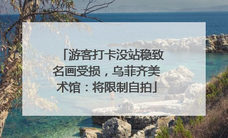 游客打卡没站稳致名画受损，乌菲齐美术馆：将限制自拍