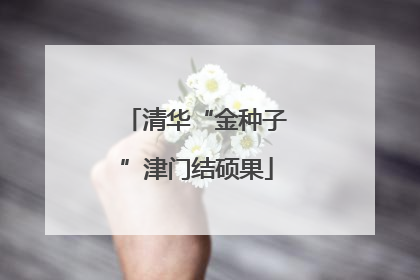 清华“金种子”津门结硕果