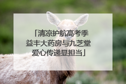 清凉护航高考季 益丰大药房与九芝堂爱心传递显担当