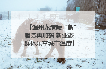 温州龙港暖“新”服务再加码 新业态群体乐享城市温度