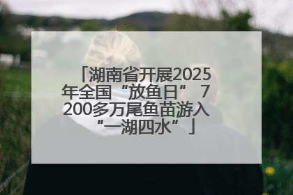 湖南省开展2025年全国“放鱼日” 7200多万尾鱼苗游入“一湖四水”