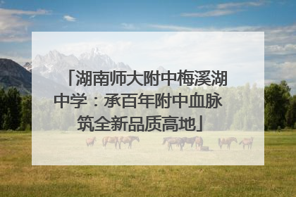 湖南师大附中梅溪湖中学：承百年附中血脉 筑全新品质高地