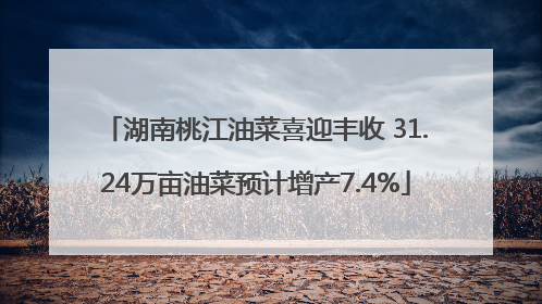 湖南桃江油菜喜迎丰收 31.24万亩油菜预计增产7.4%