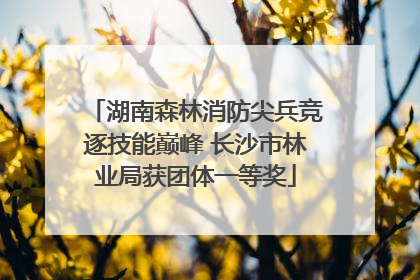 湖南森林消防尖兵竞逐技能巅峰 长沙市林业局获团体一等奖