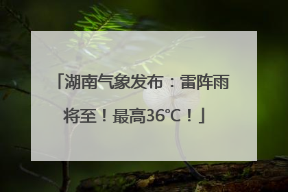 湖南气象发布：雷阵雨将至！最高36℃！