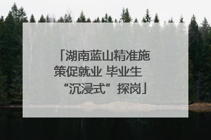 湖南蓝山精准施策促就业 毕业生“沉浸式”探岗