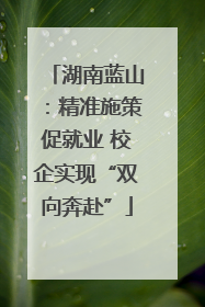 湖南蓝山：精准施策促就业 校企实现“双向奔赴”