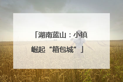 湖南蓝山：小镇崛起“箱包城”