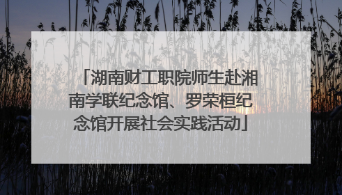 湖南财工职院师生赴湘南学联纪念馆、罗荣桓纪念馆开展社会实践活动