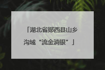湖北省郧西县山乡沟域“流金淌银”