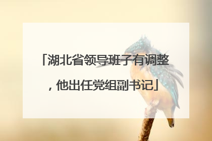 湖北省领导班子有调整，他出任党组副书记