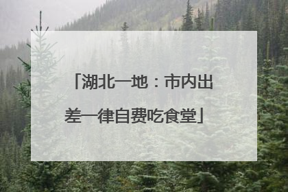 湖北一地：市内出差一律自费吃食堂