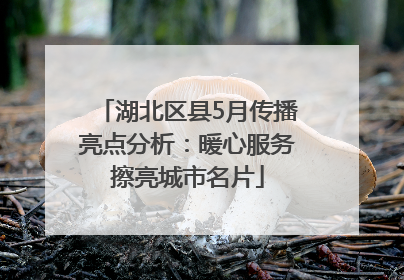 湖北区县5月传播亮点分析：暖心服务擦亮城市名片