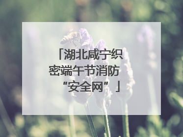 湖北咸宁织密端午节消防“安全网”