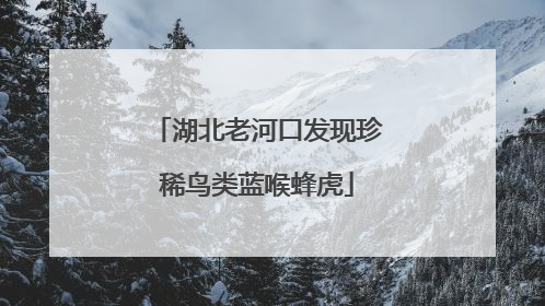 湖北老河口发现珍稀鸟类蓝喉蜂虎
