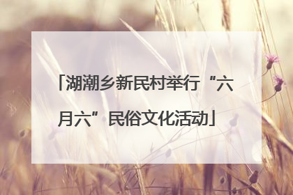 湖潮乡新民村举行“六月六”民俗文化活动