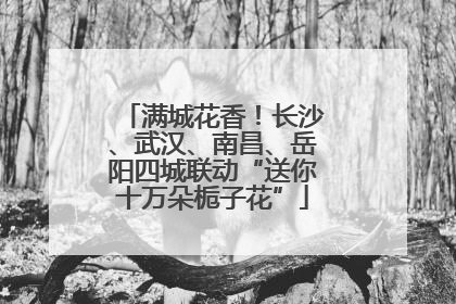 满城花香！长沙、武汉、南昌、岳阳四城联动“送你十万朵栀子花”