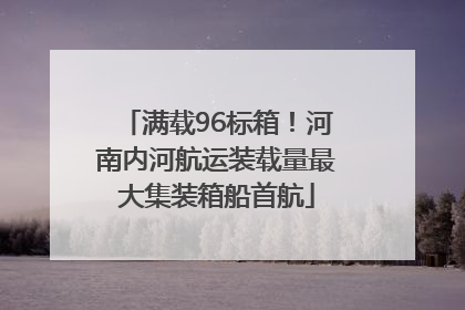 满载96标箱！河南内河航运装载量最大集装箱船首航
