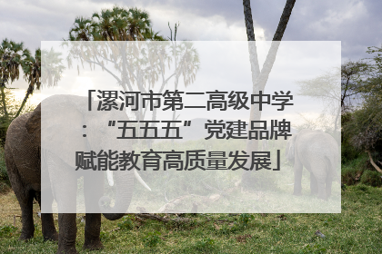 漯河市第二高级中学：“五五五”党建品牌赋能教育高质量发展