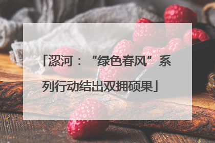 漯河：“绿色春风”系列行动结出双拥硕果