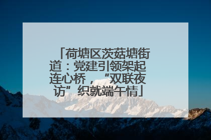 荷塘区茨菇塘街道：党建引领架起连心桥，“双联夜访”织就端午情